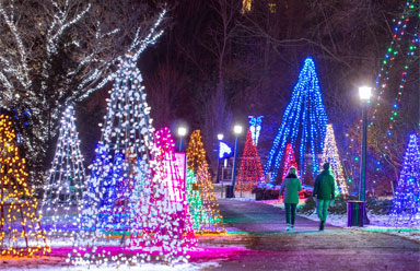 Winter Festival of Lights - Hotels in Niagara Falls