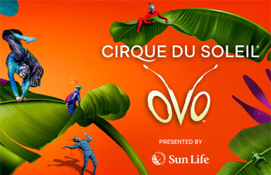 Cirque Du Soleil: OVO - Hotels in Niagara Falls