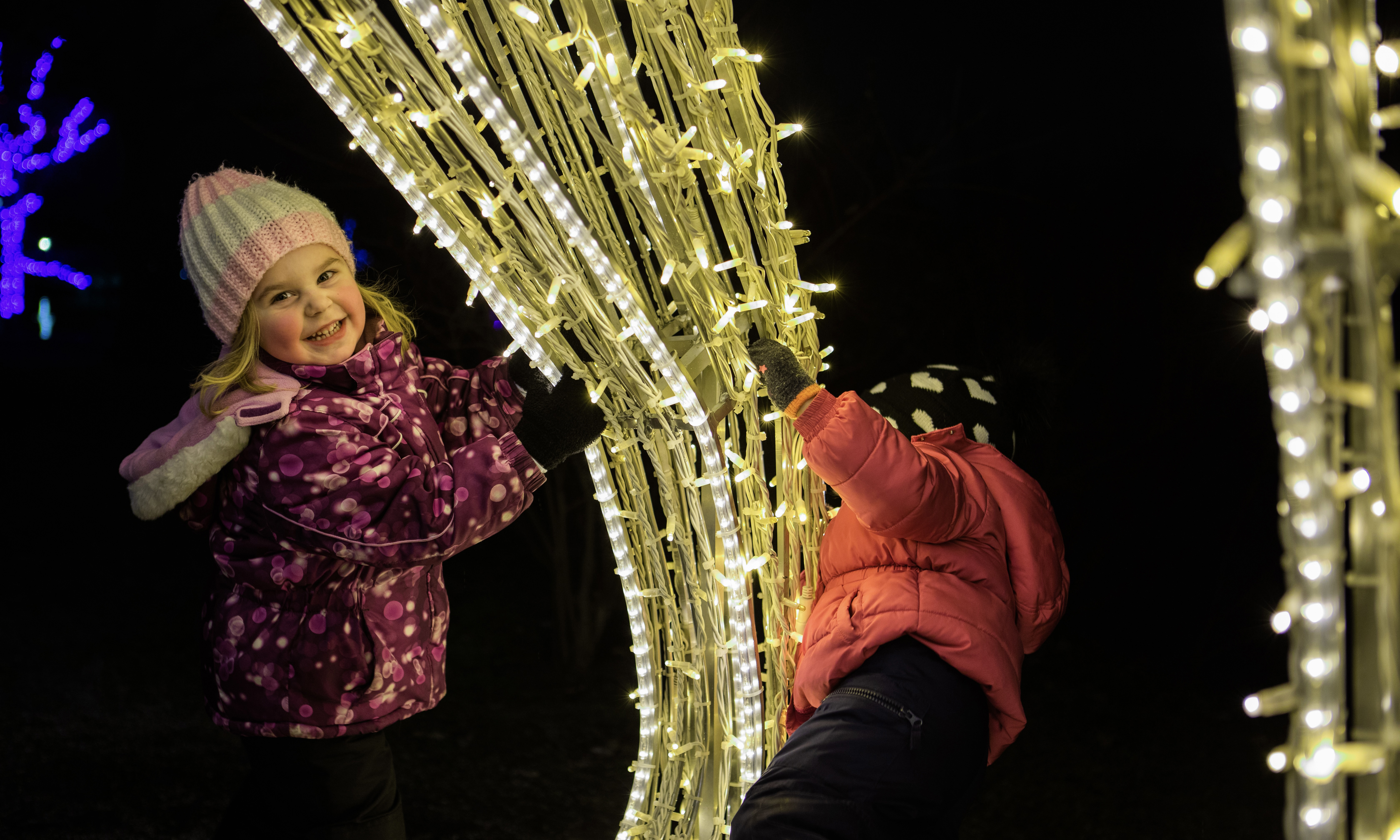 Winter Festival of Lights