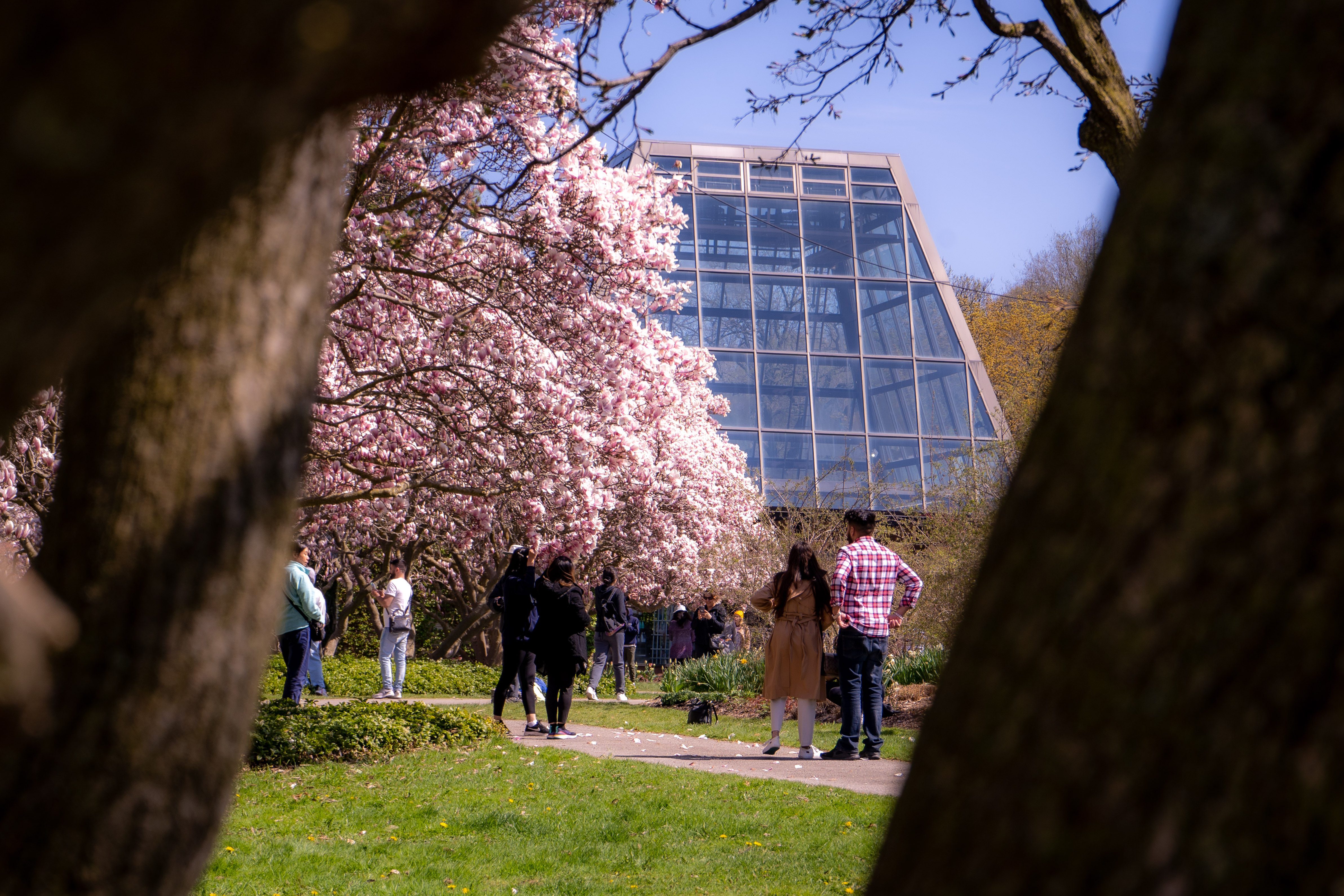 Saturday: Attractions and Entertainment