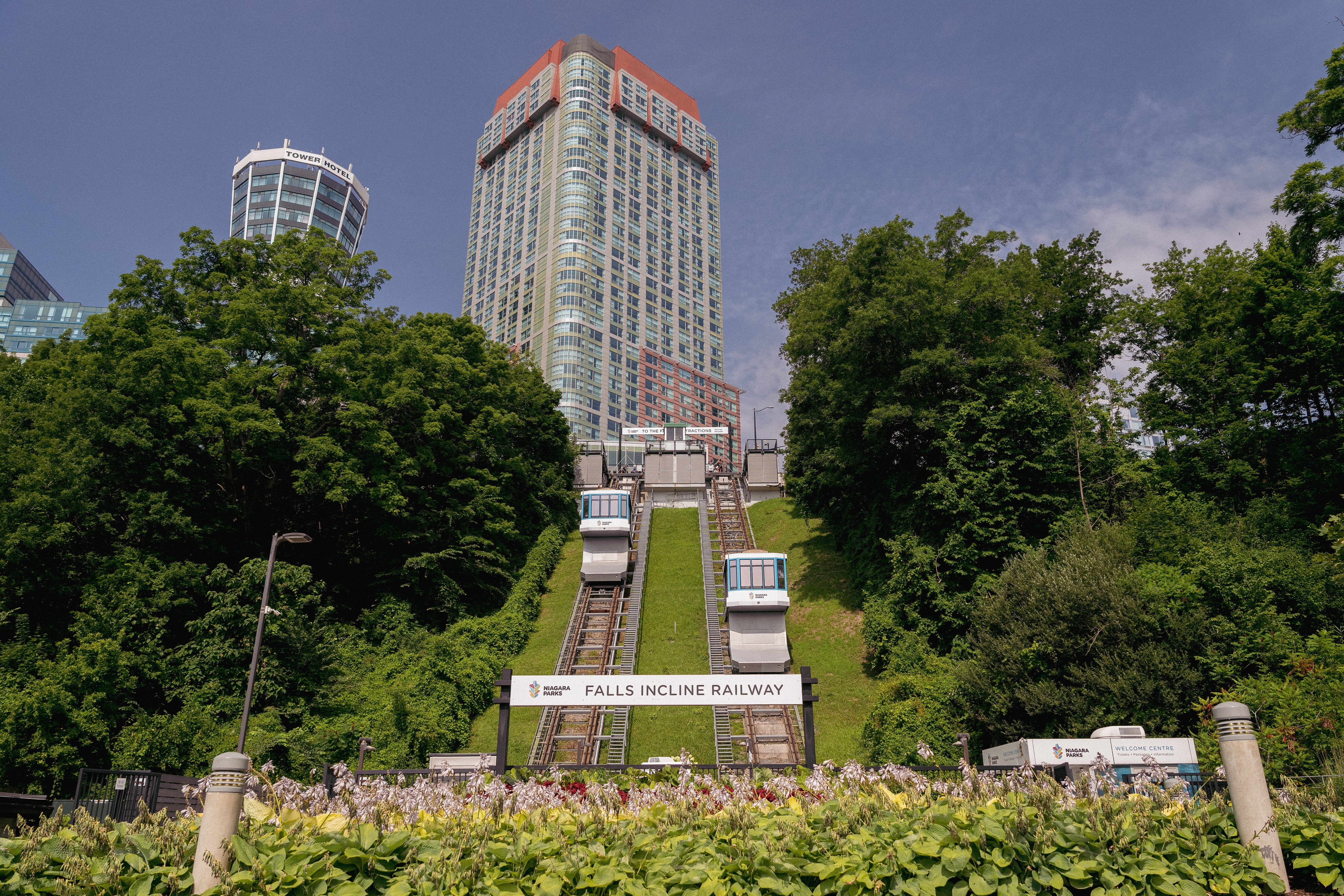 Sunday: Relax and Recharge