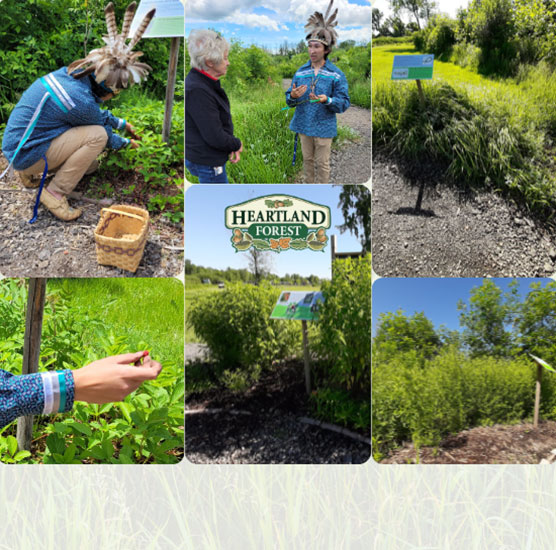 Indigenous Friendship Garden Opening Ceremony