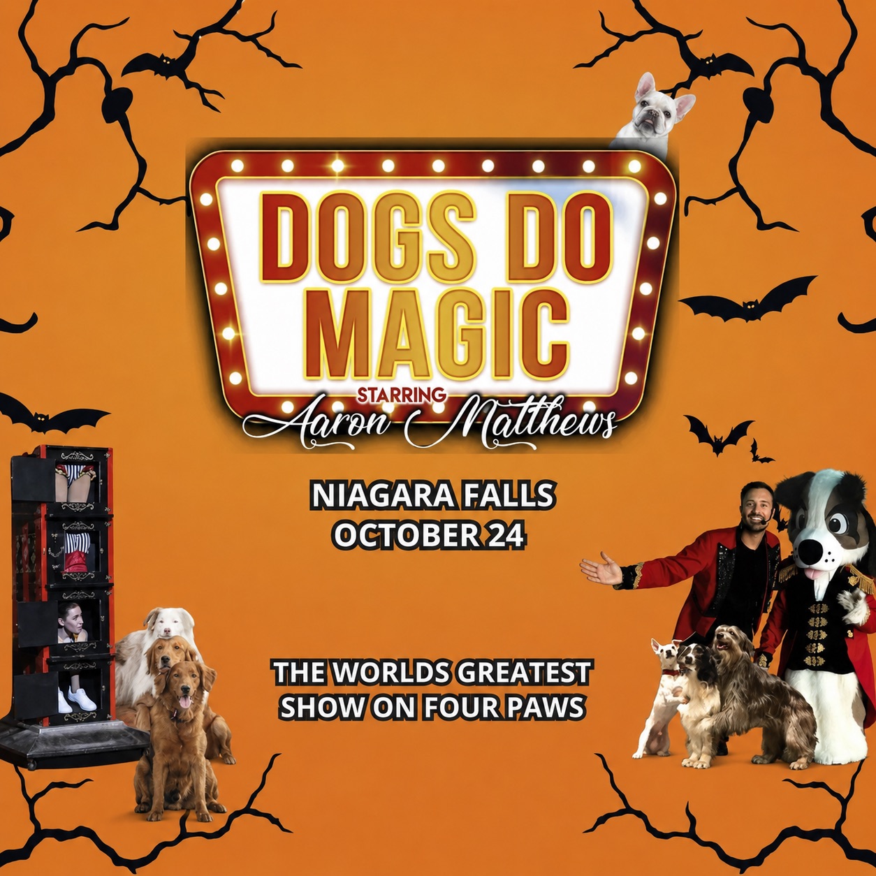 Canine Circus Presents Dogs Do Magic