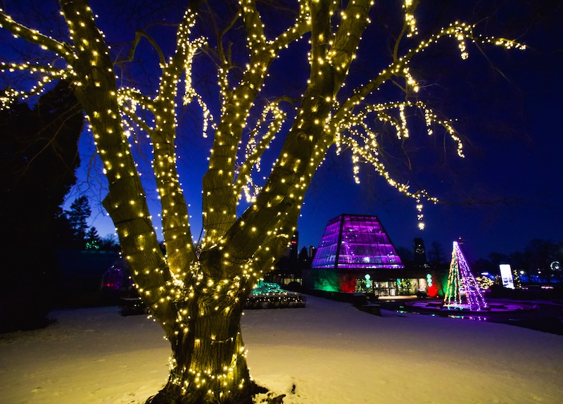 Illuminated Niagara Falls winter display