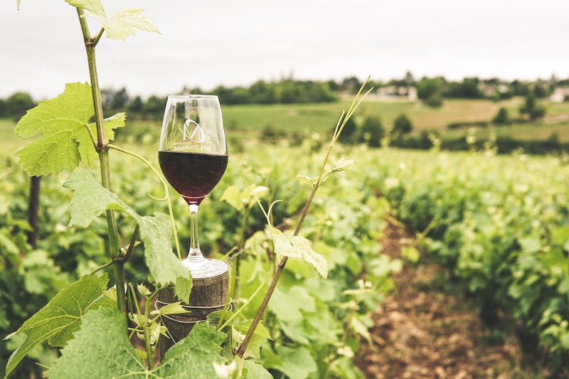 Niagara wine country in autumn