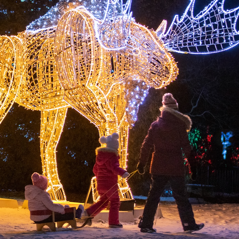 Winter Festival of Lights Niagara Falls